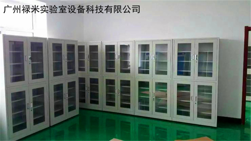 祿米實驗室物品儲存柜有哪些產(chǎn)品？