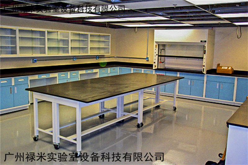 國家將在“一帶一路”沿線籌建一批實驗室建設項目