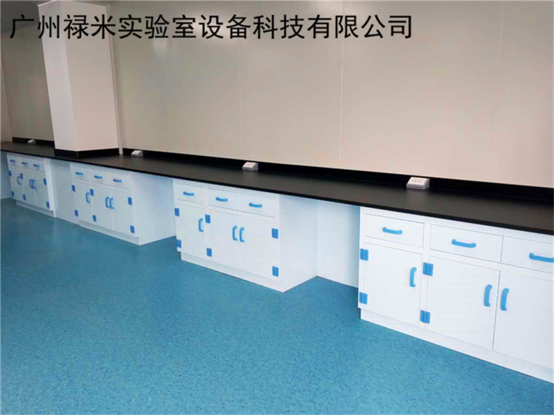 常見的實(shí)驗(yàn)室家具分類介紹